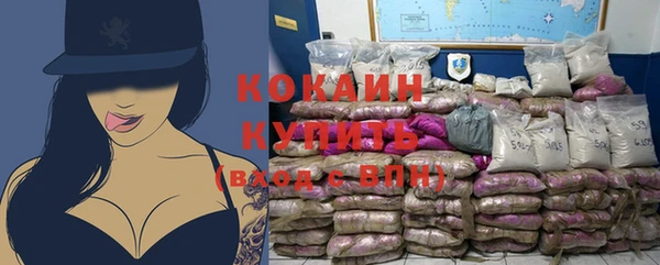 прущие крисы Няндома