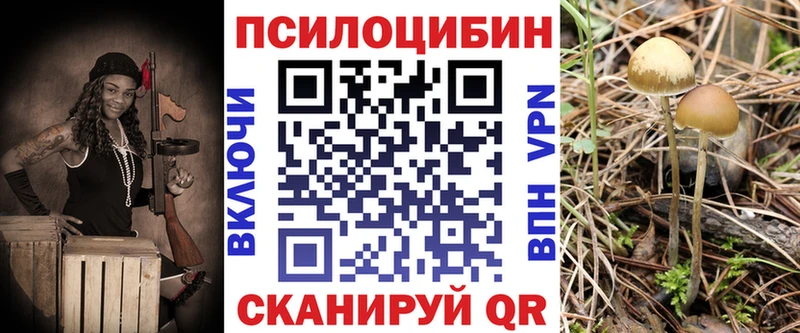 Псилоцибиновые грибы мухоморы  Кондрово 